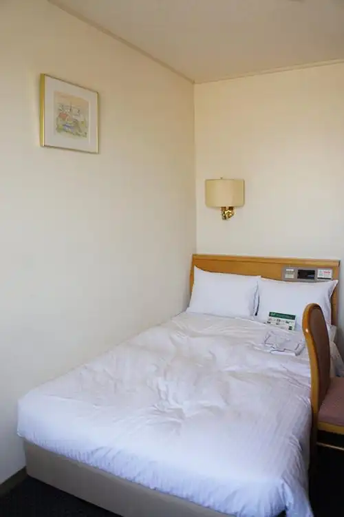 简单有便宜的酒店