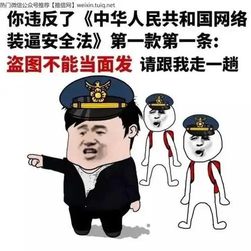 秘你违反装逼法第一条:盗图不能当面发请跟我走一趟_动态表情仓库微信