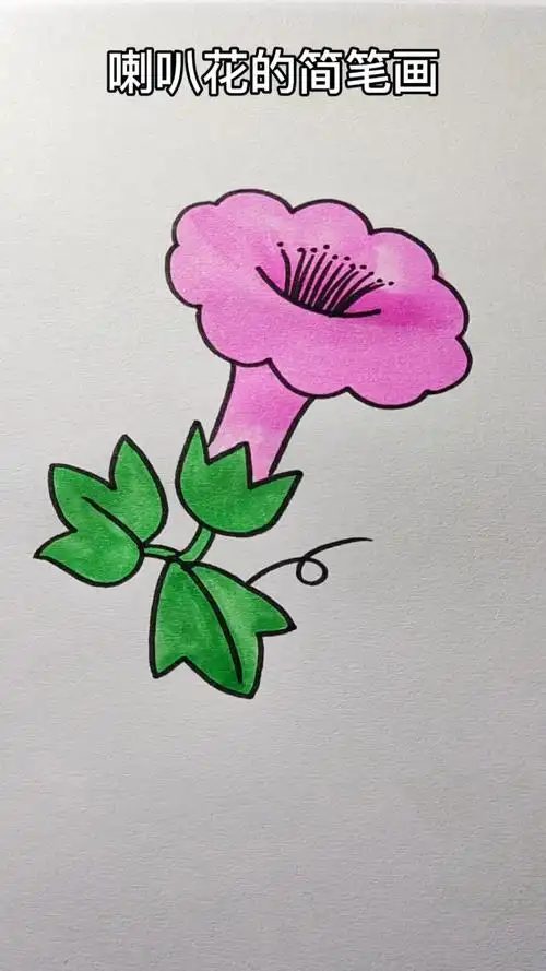 画画原来如此简单牵牛花简笔画来啦是不是一看就会呢