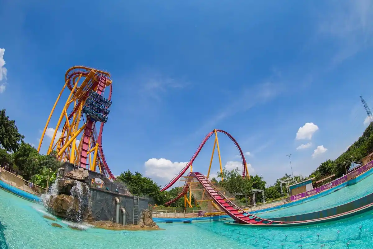 新年要去广州的长隆,适合全家人一起出发品味欢乐!