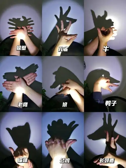 人类幼崽日常  #人类幼崽养成记  #手影  #手势影子