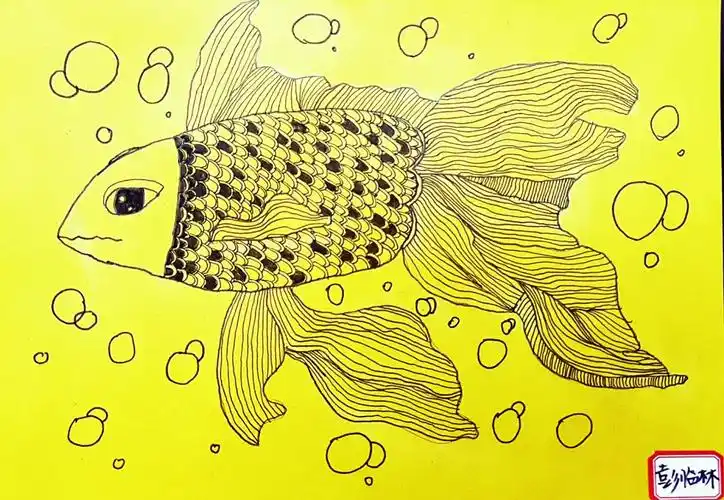 美术实践一班《鱼的线描》