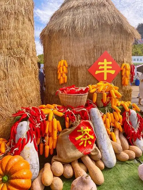 【直播回顾】热线小编带你走进2021年"中国农民丰收节"!