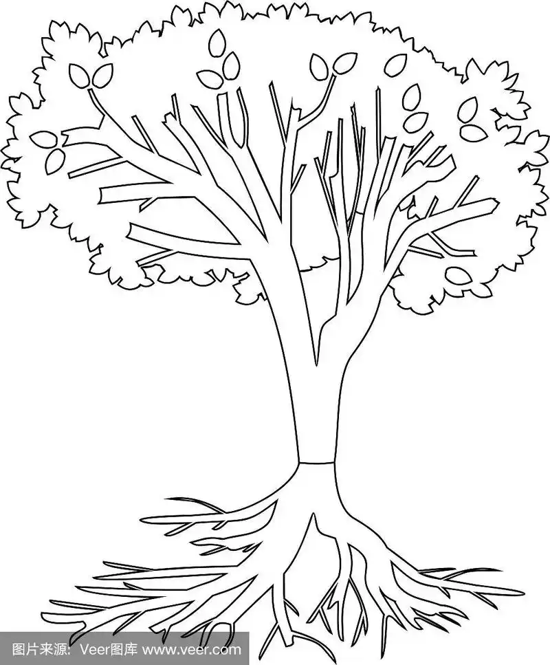 着色页面.有根的树