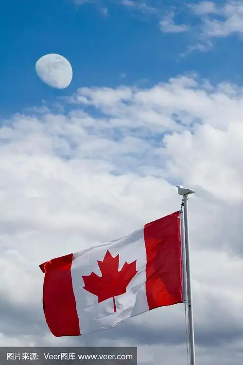 加拿大国旗,天空和月亮