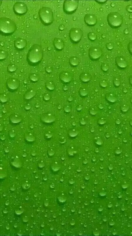 微信护眼聊天背景