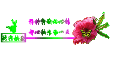 一周的工作感受