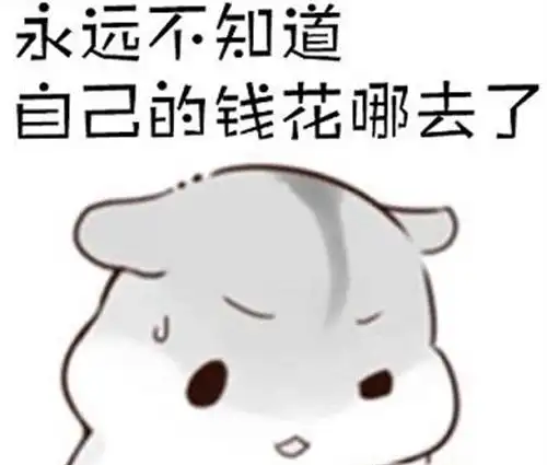 不知道钱花哪里去了的说说