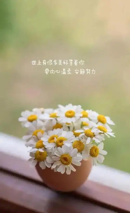 一句话早安正能量温柔语录句子;早安