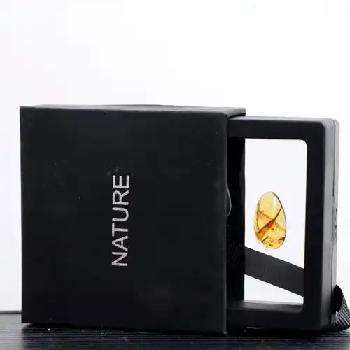 白垩纪琥珀缅甸虫珀植物珀天然水胆昆虫珀特色珀地质科普教学标本