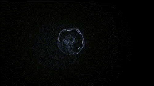 500_281gif 动态图 动图