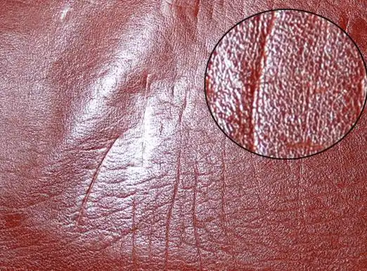 头层皮和二层皮的区别教你鉴别头层牛皮的方法图说╭肉丁网