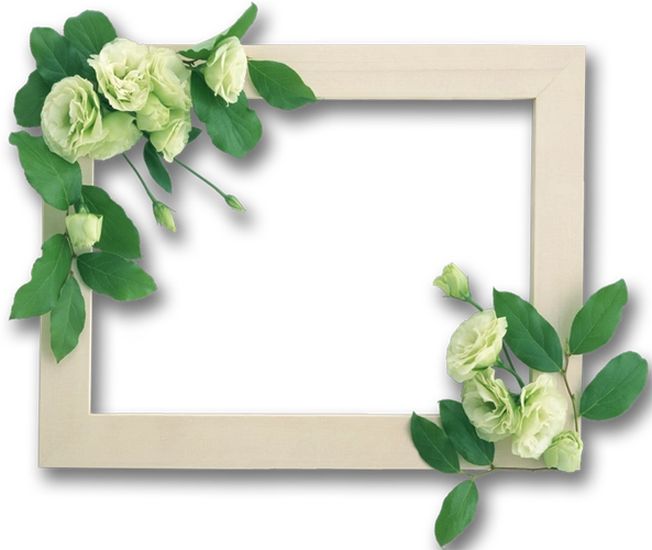 透明png素材篇漂亮免抠png相框
