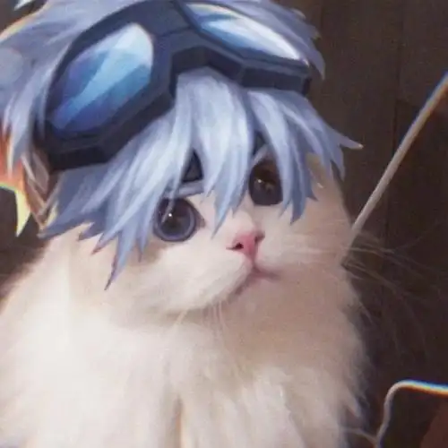 王者荣耀猫咪头像守约高清大图 头像猫咪百里守约原图无水印