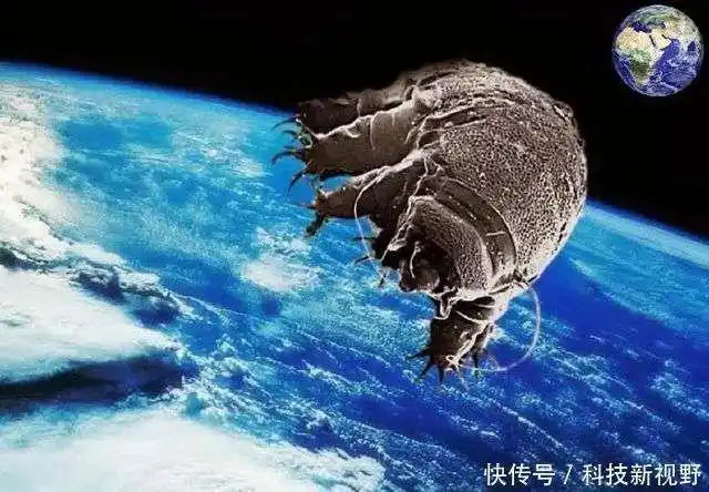 宇宙中永生不死的高级生物