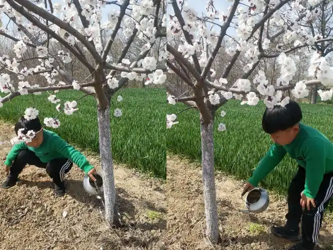 春天如约而至,我们共同抗疫 ——记2020.3.