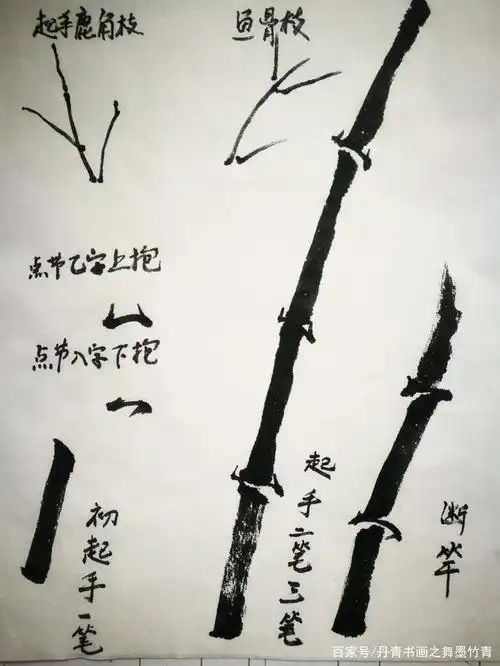 国画花鸟之水墨竹子画法