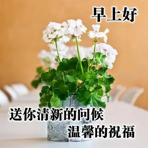 7月30日最新漂亮的早上好问候语表情包动态图片新的
