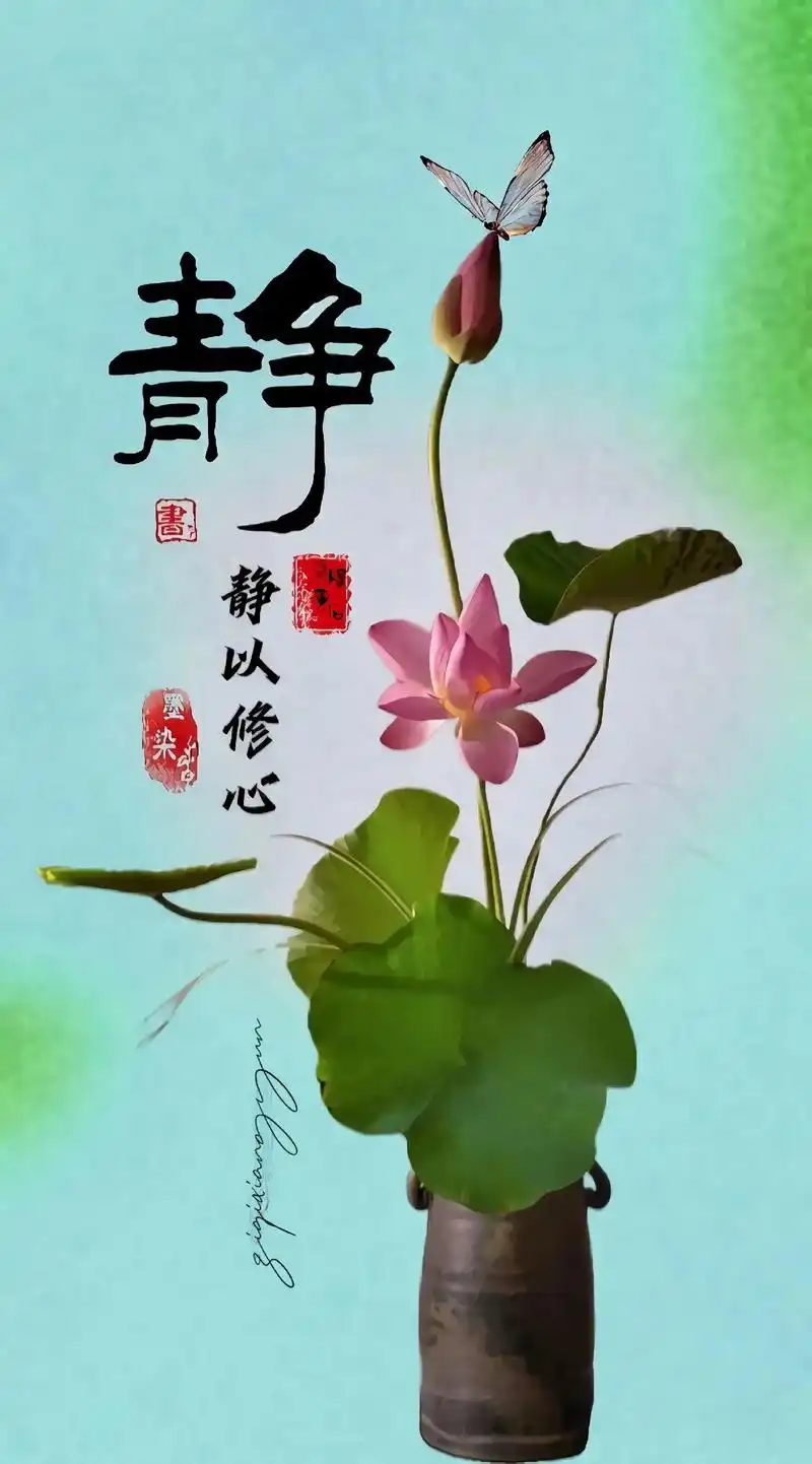 静,不是耳边无声,而是内心无争#荷花 #手机壁纸 #抖音图 - 抖音