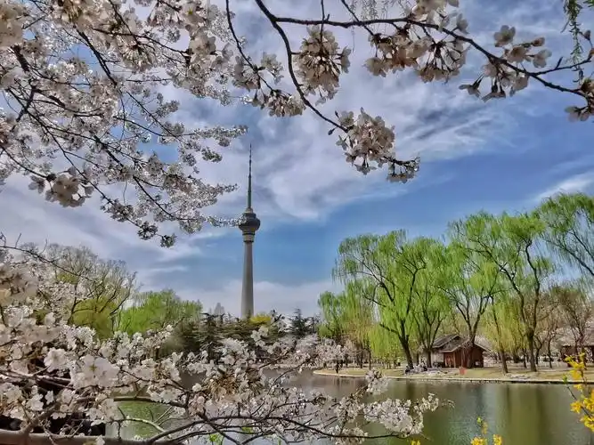 北京玉渊潭公园美景如画