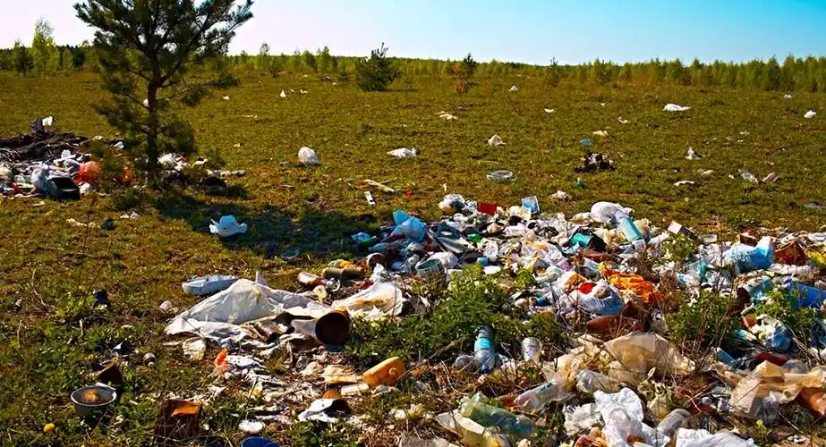 现在环境污染有多严重?这样的真相你敢接受吗_递安