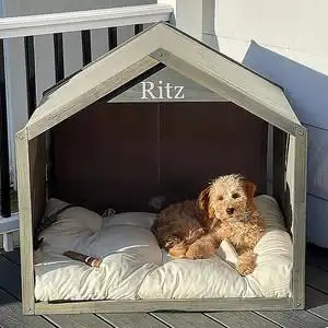 狗屋室内木制图片