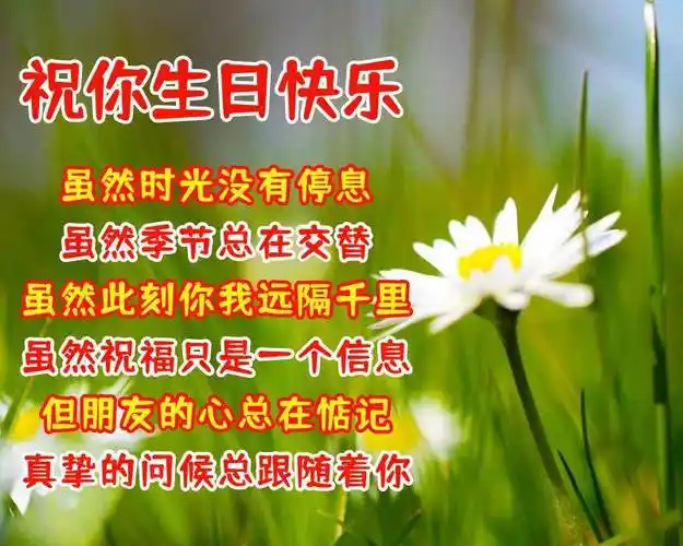 生日祝福的话语句句暖人心祝朋友生日快乐句子可爱感动