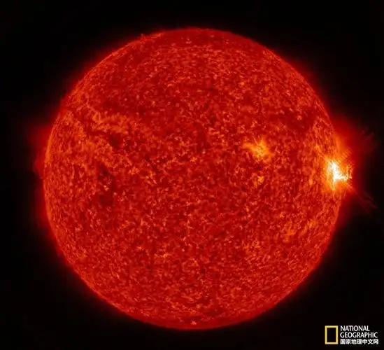 比邻星b上有会发光的外星生命?