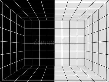 带透视网格的黑白空间,3d