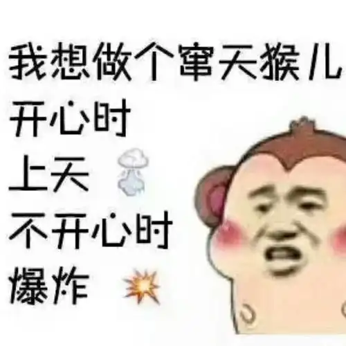 我想做个窜天猴儿,开心时上天,不开心时爆炸表情包 - 表情图