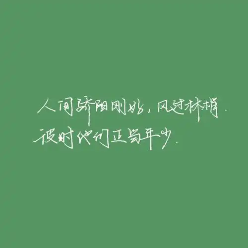 某某语录【wb:雨露—雨霁】