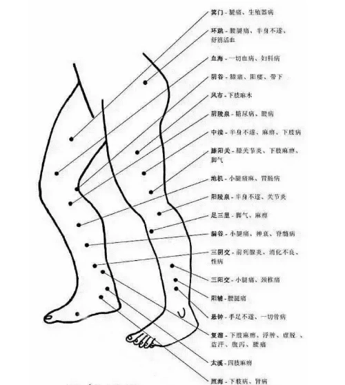 下肢穴位
