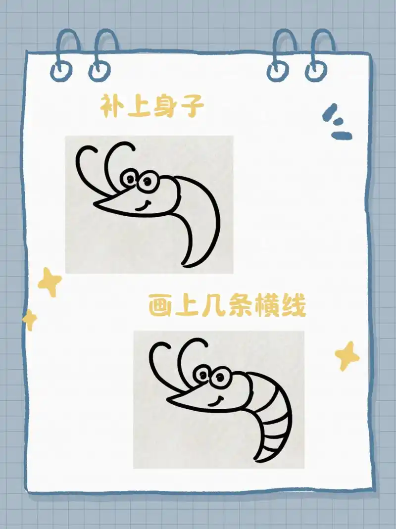 虾怎么画  来和大家分享一下虾的简笔画画法  我一直觉得虾是一种很有