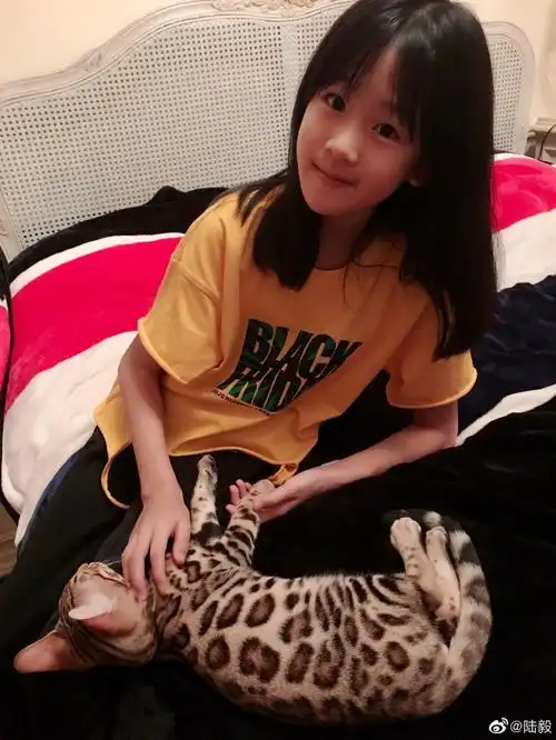 陆毅晒女儿嘟嘴卖萌照贝儿抚摸小猫爱心满满