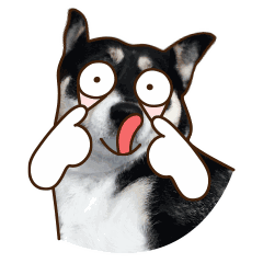 走遍欧洲,这些手势的含义你应该知道