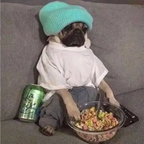 女头像搞笑沙雕笑死人欠揍单身狗