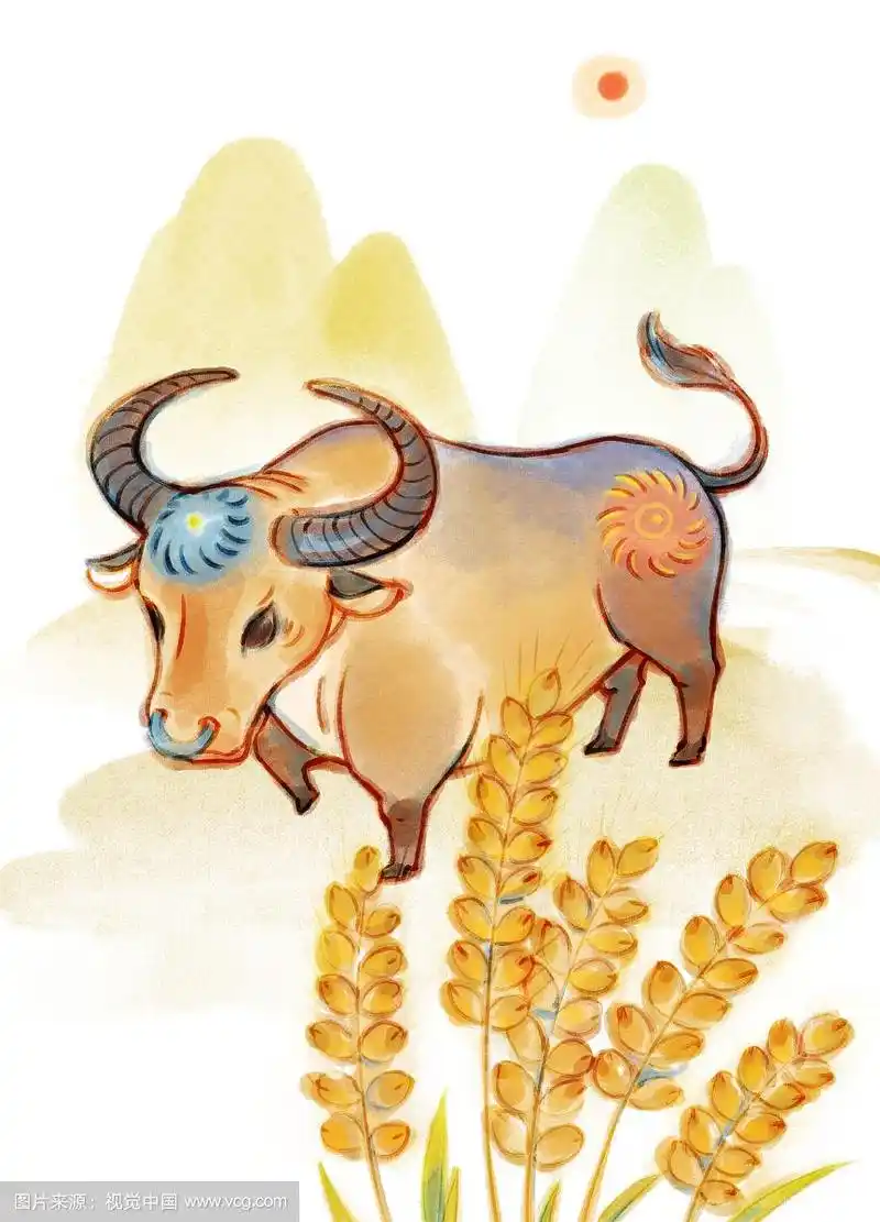 十二生肖牛插画