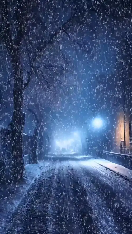 唯美意境 #一夜之间这座城市就冷了