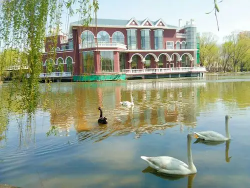 紫玉山庄――天鹅的天堂