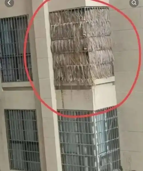 多地小区出现骨灰房,真相毛骨悚然,小心你小区的这类房子!