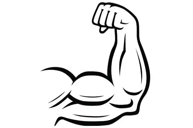 瑜伽解剖:肱二头肌