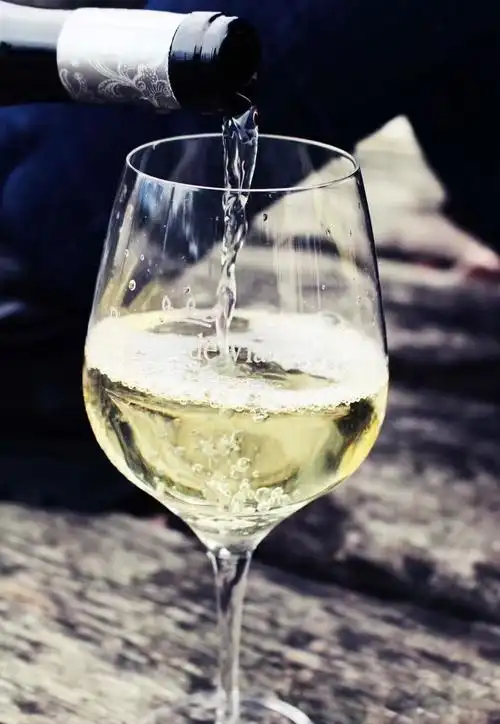 葡萄酒为什么只倒三分?