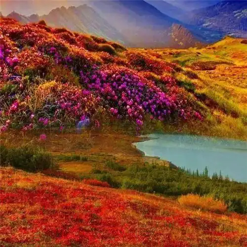 超火最好看的风景头像图片