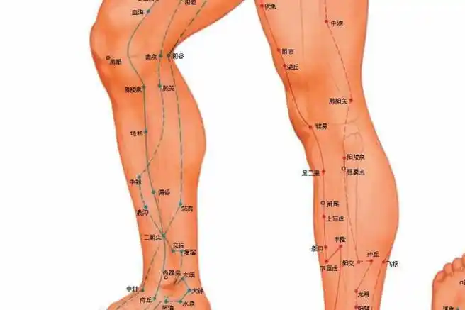 董氏奇穴特效经验简介