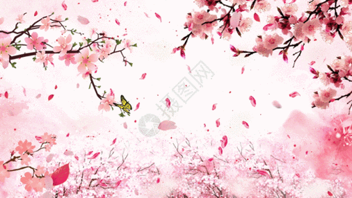 简洁黑白小猫gif图片-简洁黑白小猫动态图-简洁黑白小猫gif格式下载