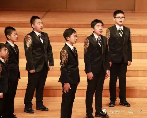 荣誉而归北京市丰台区少年宫小星星合唱团男声小合唱团在第十五届中国