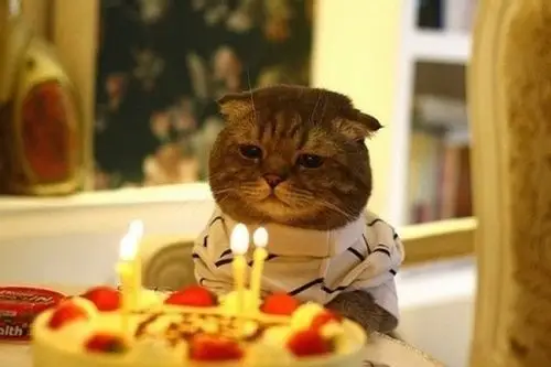 没人陪我过生日