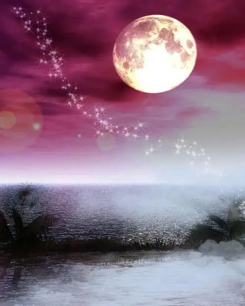 描写月的古诗有哪些(形容月亮的诗句和古诗)