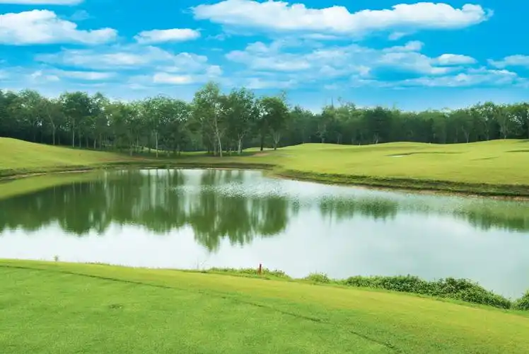 高尔夫球场景色图片景色高尔夫运动场地球场