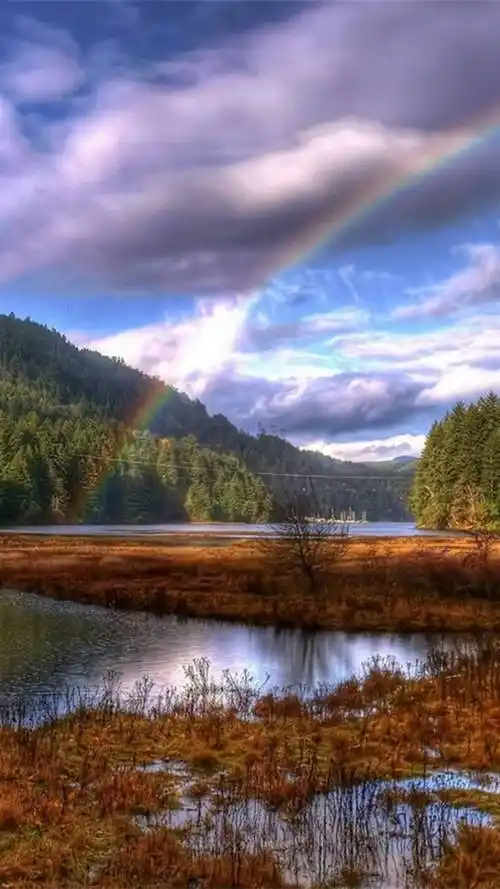彩虹,自然美景,天空,唯美风景,手机壁纸雨后彩虹